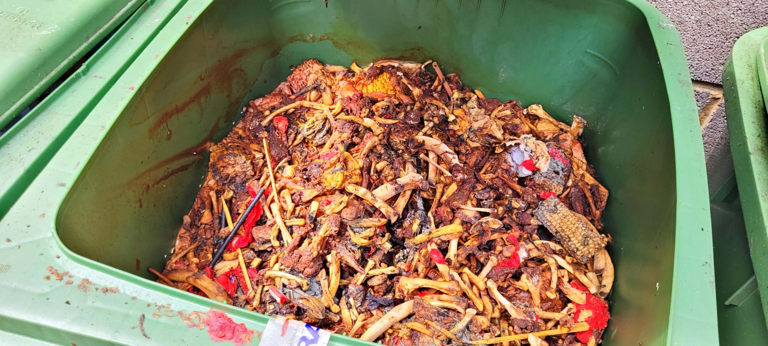 Food Waste Segregation